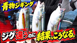 明石海峡で青物ジギング　強烈なファイトを楽しもう！（四季の釣り/2026年9月4日放送）