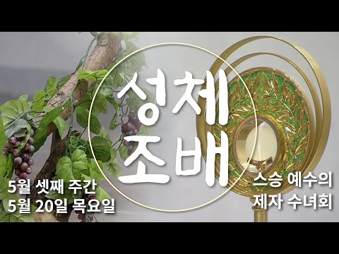 영상썸네일