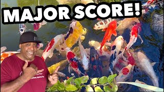 I WON A SPECIAL KOI FISH!