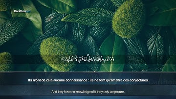 Sourate Al-Jathya - Ali Al Turkmeni سورة الجاثية  علي التركماني