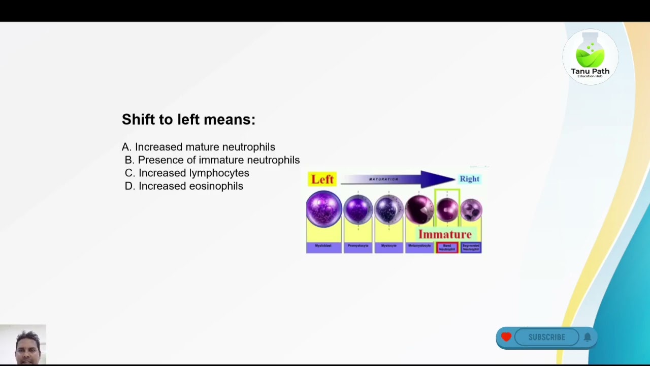 wbc blood cells quiz