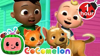 Dogs Vs Cats Opposite Song With Jj And Cody | Cocomelon Nursery Rhymes & Kids Songs