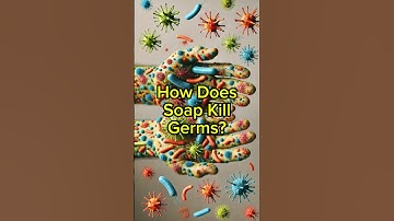 How Soap Kills Germs: The Science Behind Handwashing Explained!