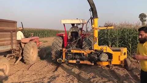 Cattlekit Silage Machinery - Row Independent Maize Chopper in Action: Pakistan