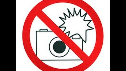 Flash not working in Chromium but works in Firefox.