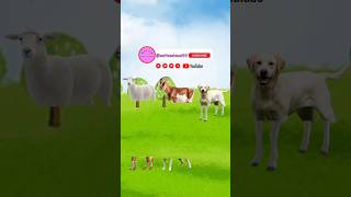 Tebak gambar kaki kambing | kartun tempel #animasi #lucu #cartoon #short