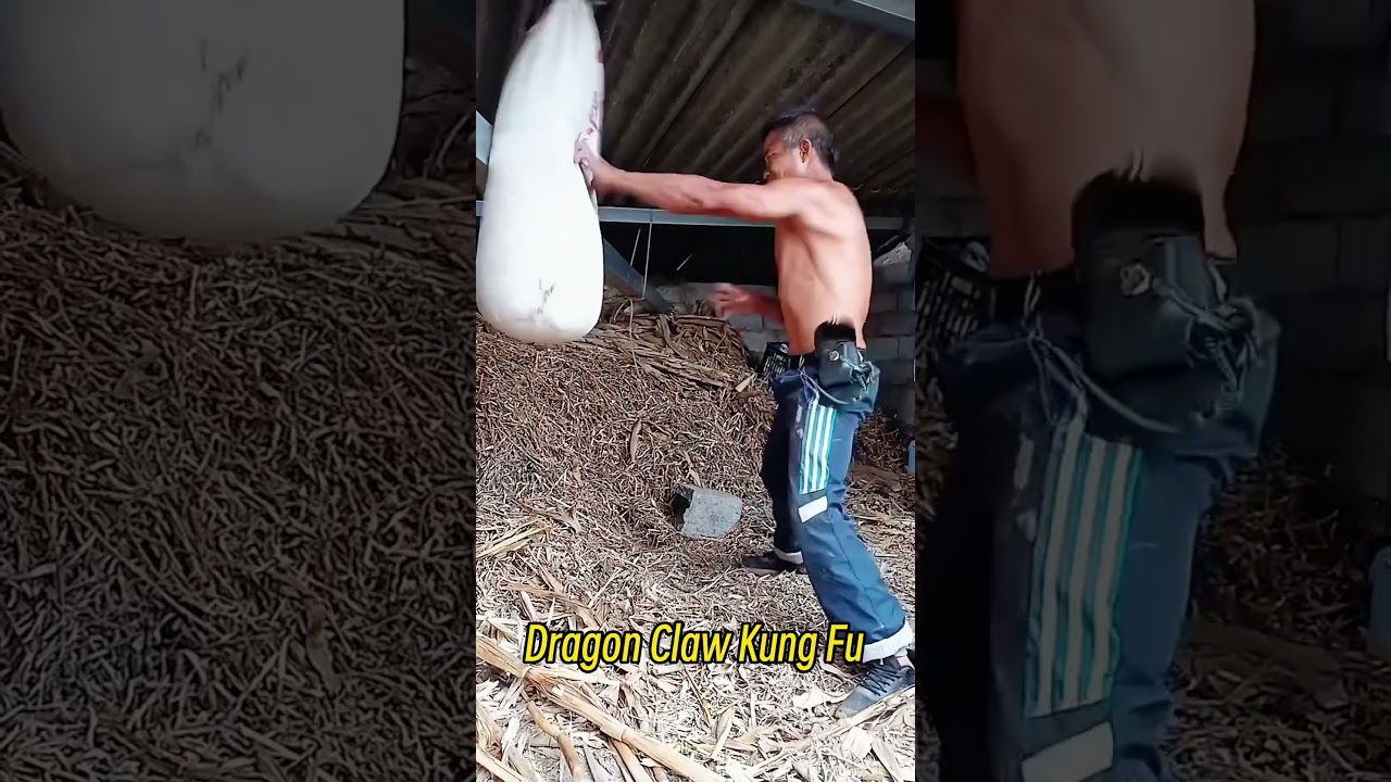 Shaolin Dragon Claw Kung Fu, fingers are harder than iron. 