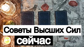 Таро онлайн Советы Высших Сил сейчас