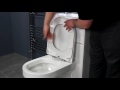 Top fixing soft close toilet seat  d shape