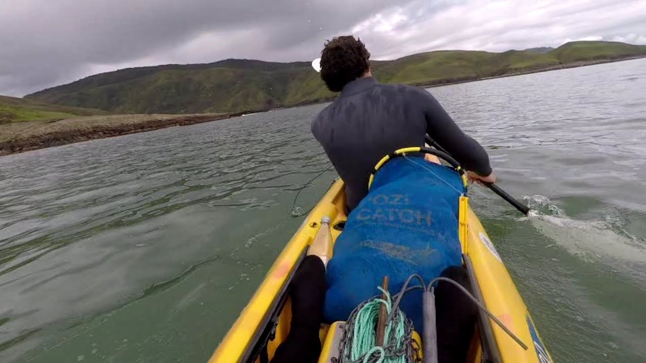 Free diving the wild west coast of Northland, New Zealand YouTube
