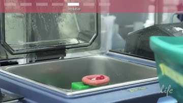 How to create a genetic element or construct