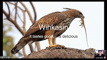 Cree language Learning-Statements to use daily