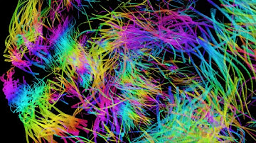 Emergent formations of boids using Unity ECS