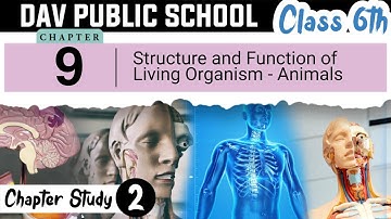 Chapter 9 | Structure and Function of Living Org - Animals | Class 6 DAV Science (Part 2) 🔥🔥🔥
