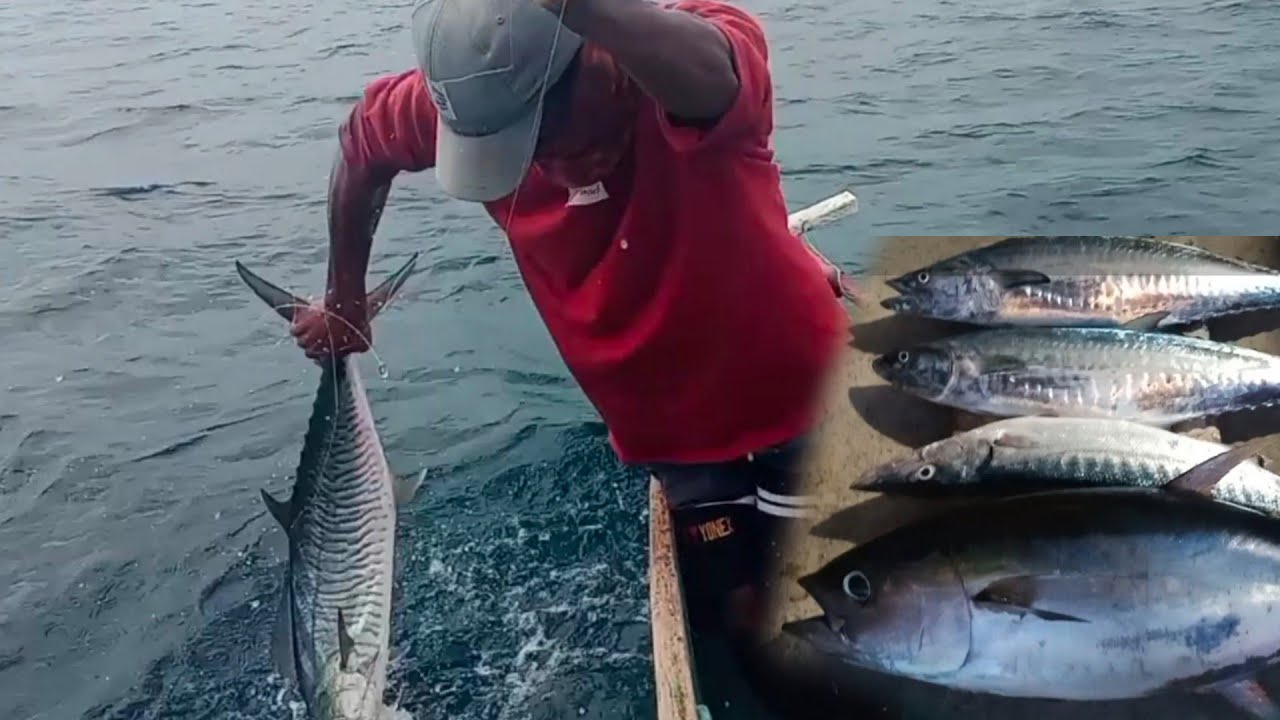 Cara ampuh saat tenggiri tidak muncul gunakan tehnik ini dijamin strike