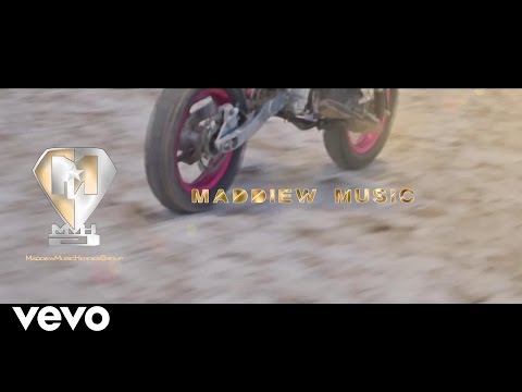 Dalvis Tsisy Probl M