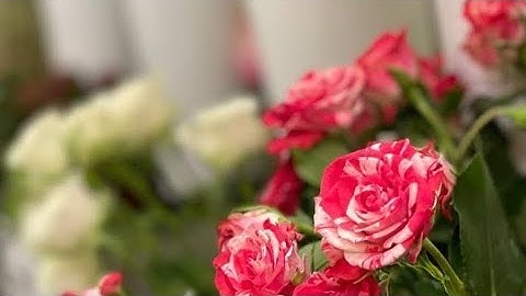 (ص ٩٧ سورة النساء ) - القارئ الشيخ علي بن عبد الرحمن الحذيفي حفظه الله تعالى