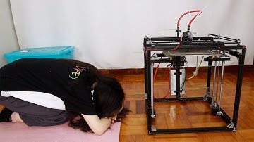 我为什么放弃了DIY3D打印机|一个坚强的女子