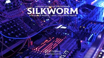 Silkworm - Ambient Modular Performance (Eurorack, Iridium, 2600, Deckard
