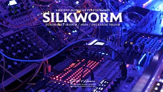 Silkworm  Ambient Modular Performance (Eurorack, Iridium, 2600, Deckard's Dream)