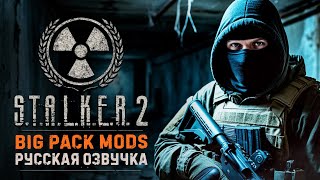 картинка: BIG PACK MODS 1.6.1 | Русская озвучка | S.T.A.L.K.E.R 2 + Интерактив
