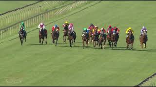 20220202 Hollywoodbets Scottsville express clip Race 8 won by RIDE THE LIGHTNING