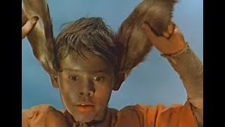 Приключения маленького Мука (1953)