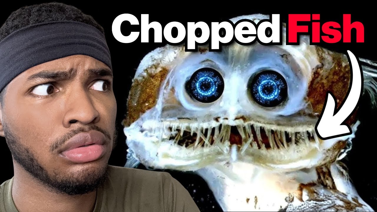 Почему глубоководные существа эволюционируют так жутко