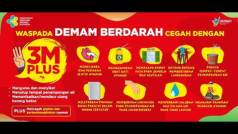 Cegah Demam Berdarah Dengan 3M Plus