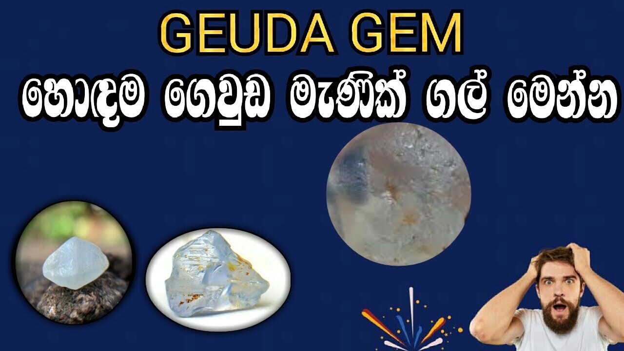 නිල් වර්නය එන හොඳම ගෙවුඩ හදුනා ගනිමු Let's find out the best house that comes with blue color