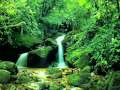 A Natural Thing Earl Klugh A Natural Thing Earl Klugh