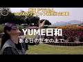 自然の中でアカペラ YUME日和 島谷ひとみ 映画 ドラえもん のび太のワンニャン時空伝 主題歌 ある日の芝生の上で 歌ってみた 自然の中でアカペラ YUME日和 島谷ひとみ 映画 ドラえもん のび太のワンニャン時空伝 主題歌 ある日の芝生の上で 歌ってみた