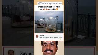 Xavier meme 2 #xavier #memes #shorts #trending