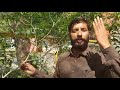 trial video created during digital capacity building program.