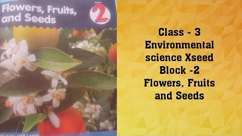 Class 3, Environmental Science Xseed Block 2 Flowers