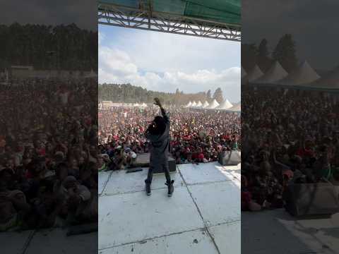 #diamondplatnumz #Mbeya #Viral #Trending