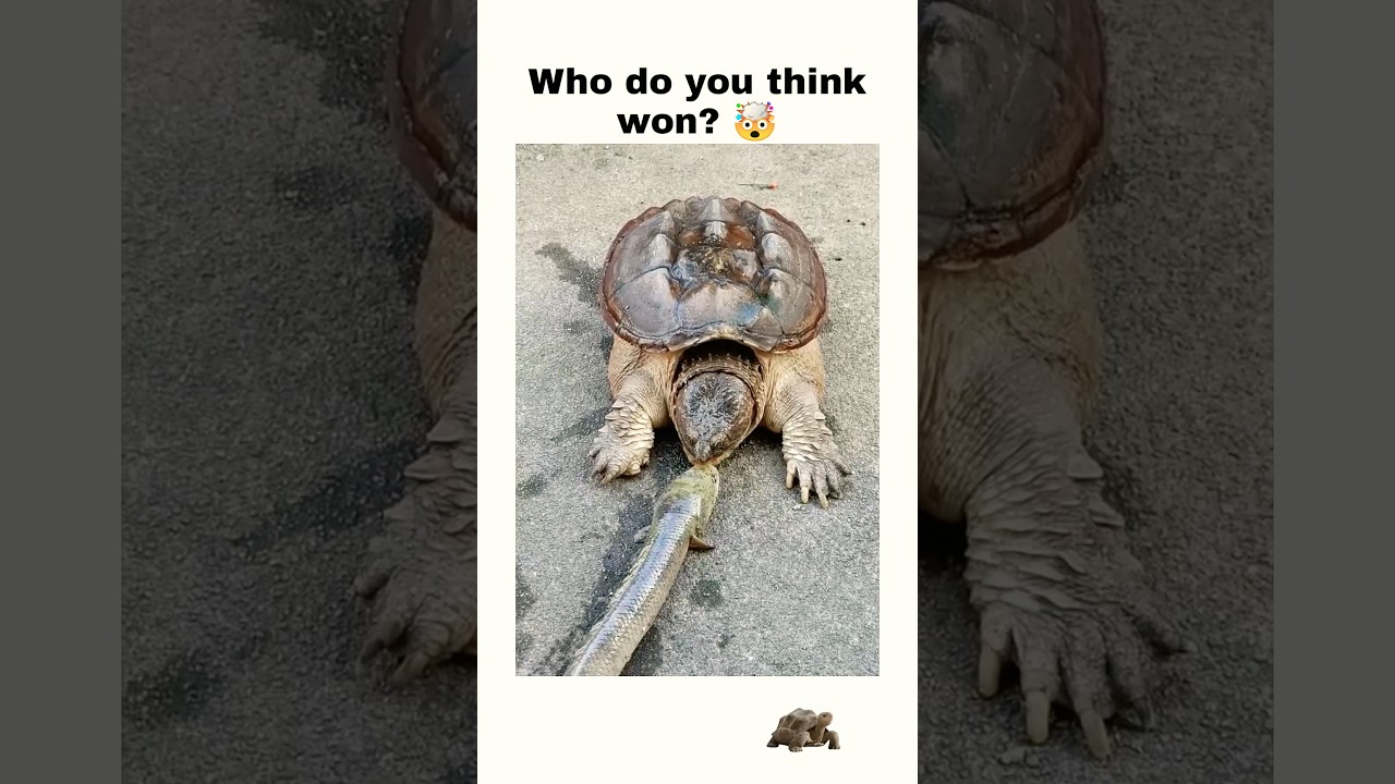 Bro. It’s too early for all that. 