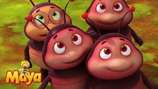 The Cutest Little Bugs Ever! - Maya the bee🍯🐝🍯