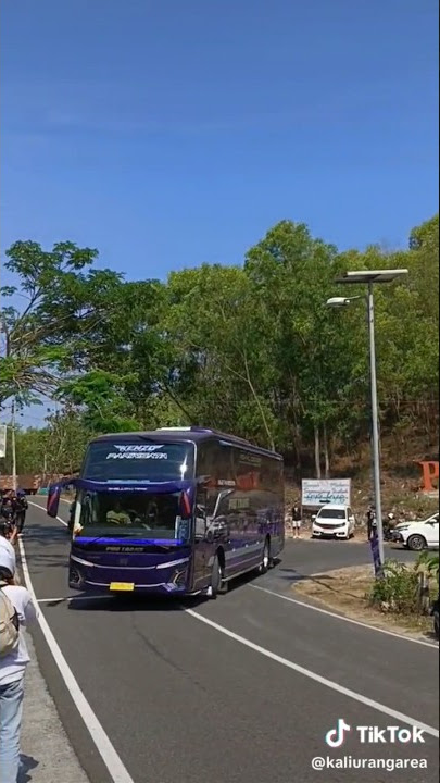 Telolet Basuri PHD Trans Kenzo JB5 #telolet #busmania #shorts