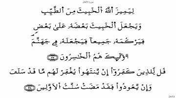 سورة الأنفال - ياسين الجزائري برواية ورش