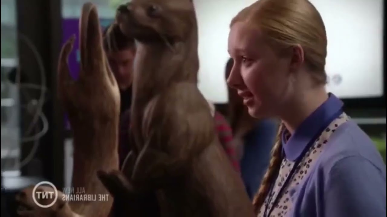 Katie Norton The Librarians