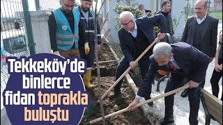 Tekkeköyde Binlerce Fidan Toprakla Buluştu