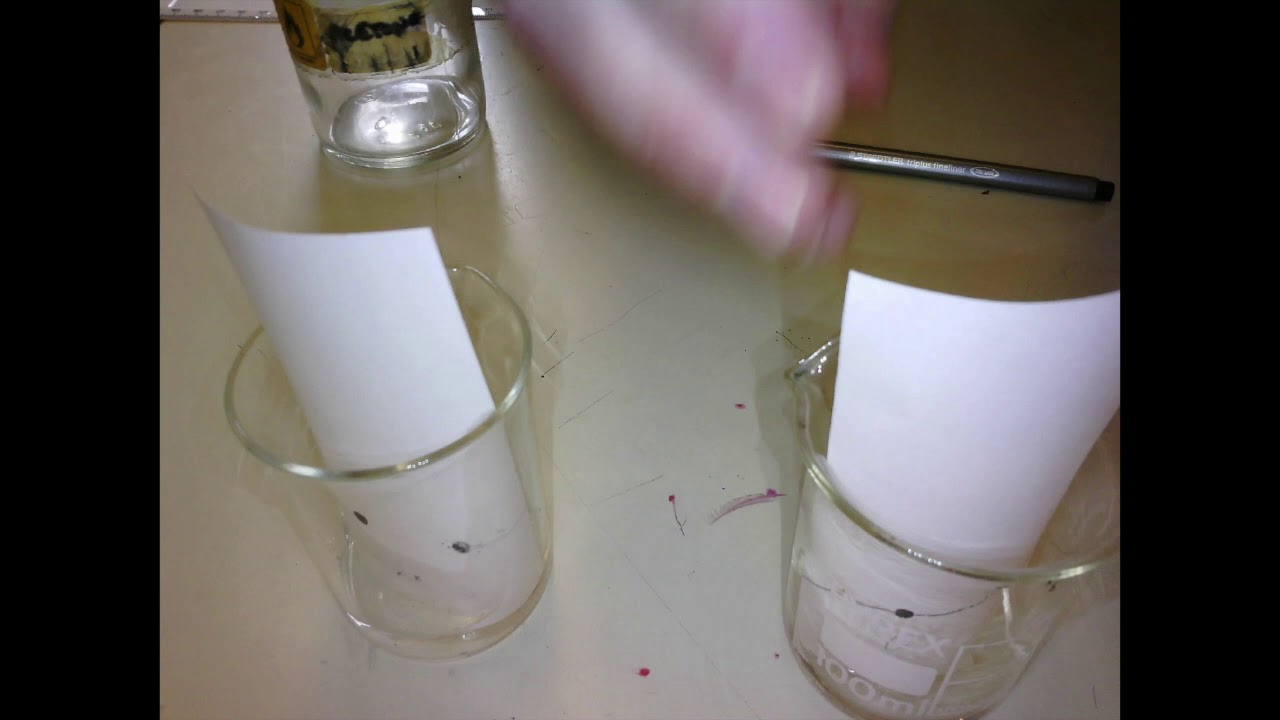Science Year 9 to 10 Experiments Chemistry Acetone vs Water YouTube
