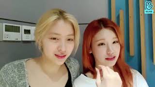 VLIVE ITZY Yeji and Ryujin [15.05.2021] SUB INDO