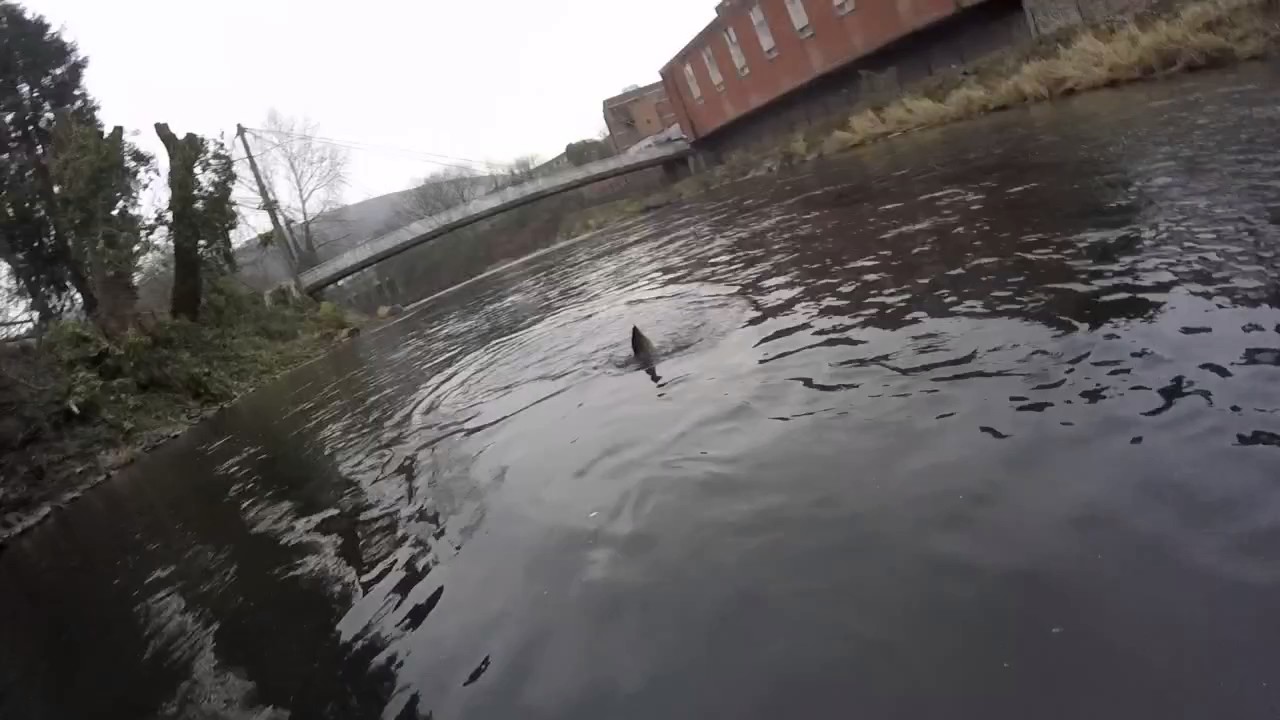A few more hours out on the river taff today