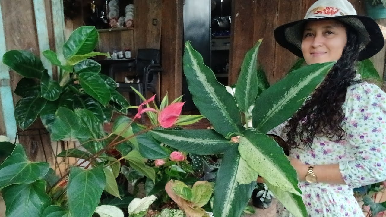 EVOLUCIÓN DE MIS NUEVAS PLANTAS 😱🌺❤️🪴♥️😱