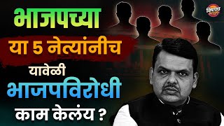 भाजपच्या या ५ नेत्यांनीच यावेळी भाजपविरोधी काम केलंय ?| Loksabha Election 2024 News | Vishaych Bhari