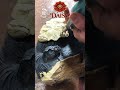 Masterpiece Unboxed: Hand-Carved African Blackwood "Lotus & Goldfish" Tea Tray
