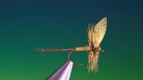 Tying a Yellow may with Barry Ord Clarke