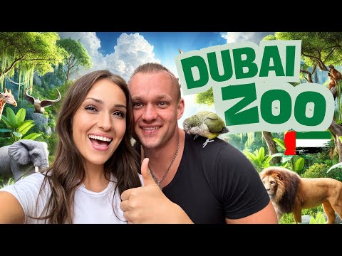 Dubai Safari Park | Das musst du sehen! 🐘🌴